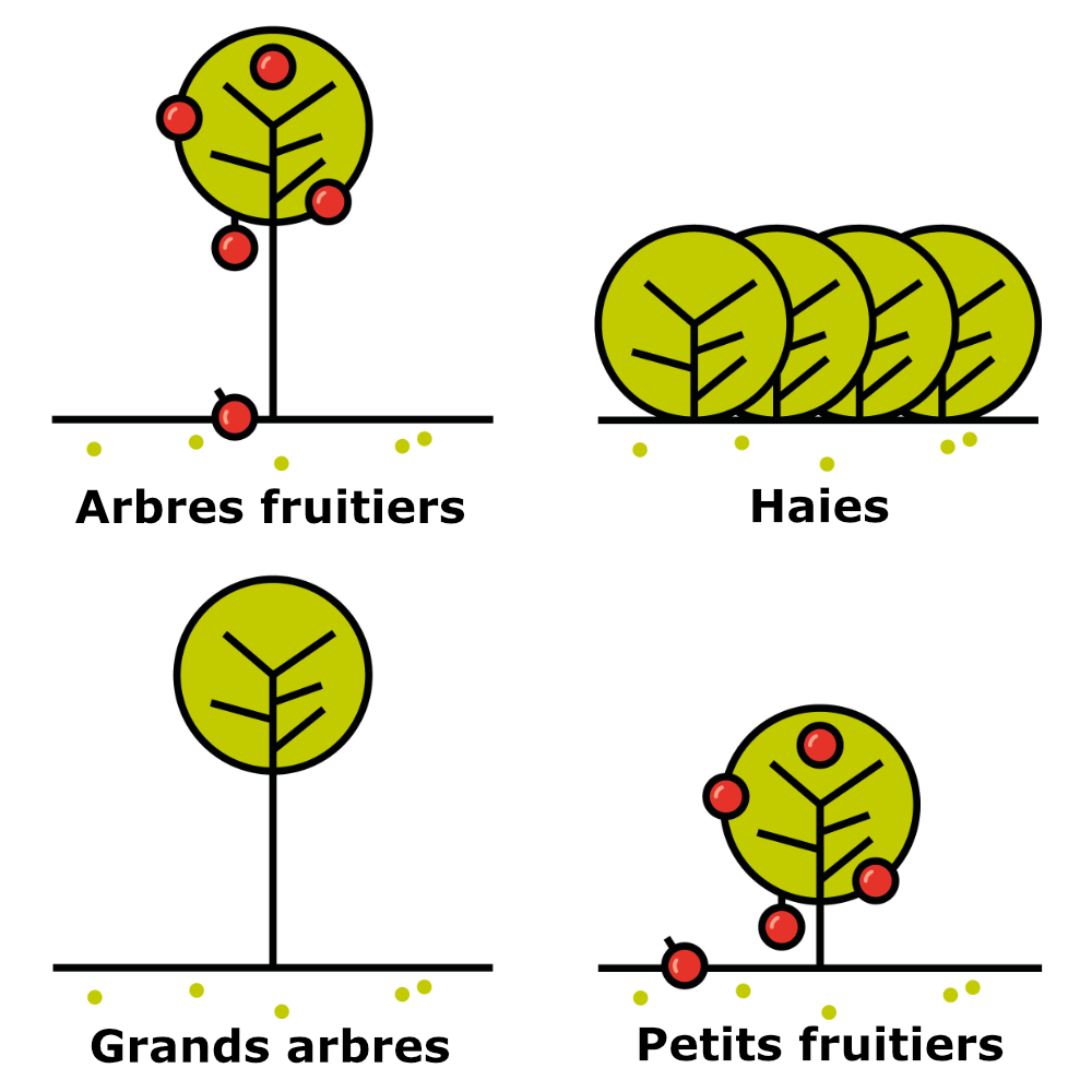 Pictos4typesarbres_leg